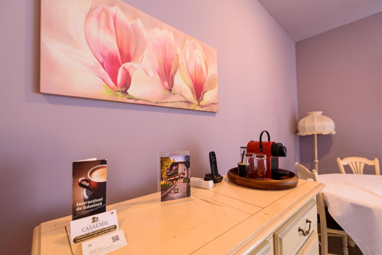 Boutique Hotel Casa Emil Poiana Brasov Buitenkant foto