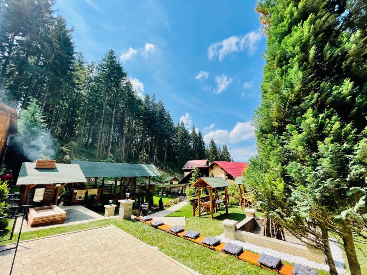 Boutique Hotel Casa Emil Poiana Brasov Buitenkant foto